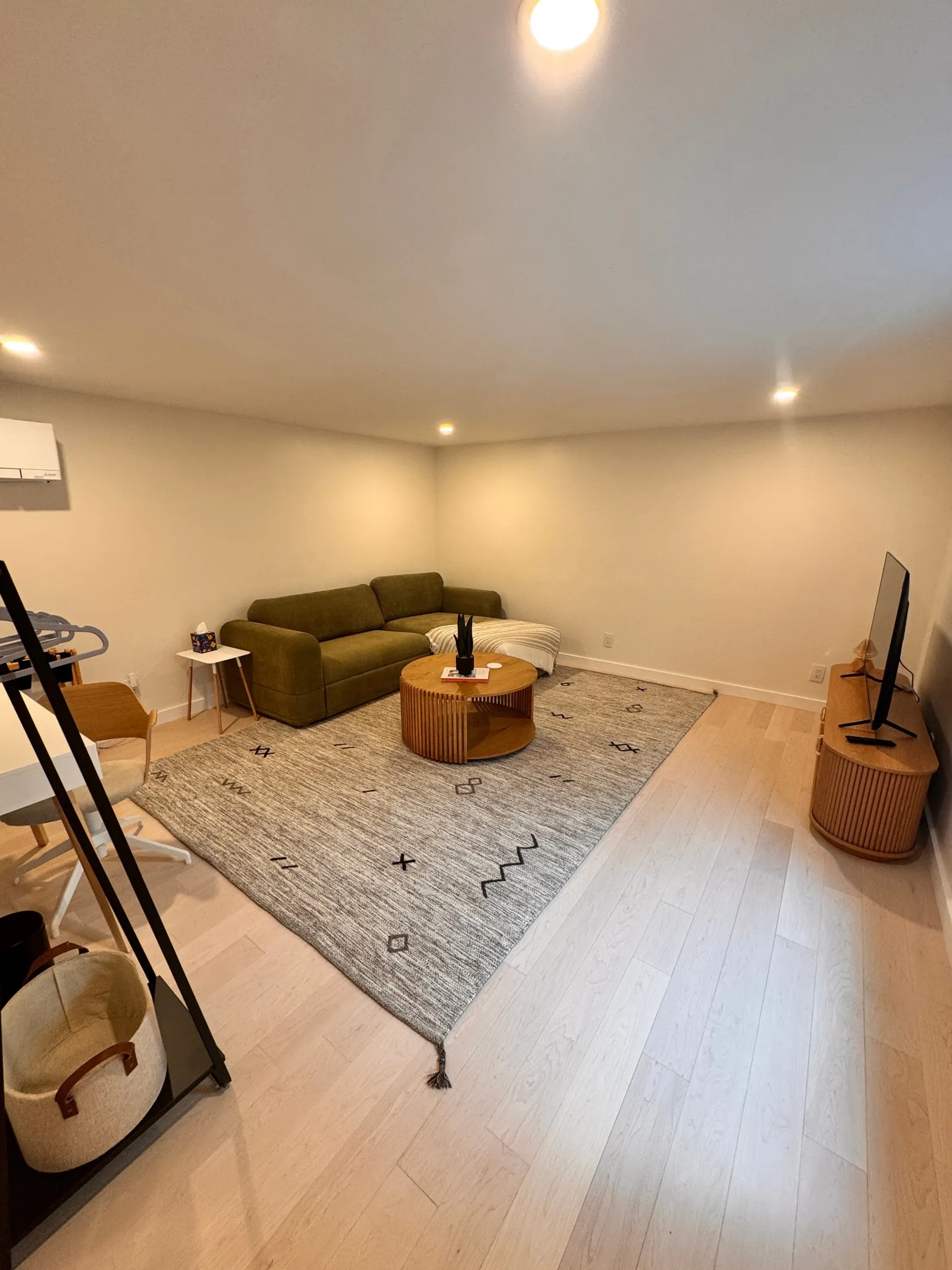The lower level: green sofa, wool rug and a mini-split for heat and cooling