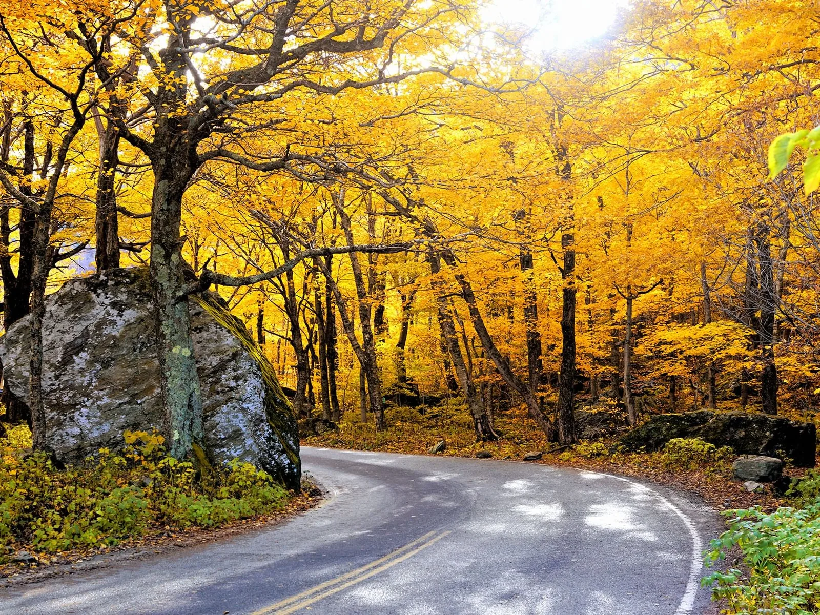 Road curving through golden foliage at Smugglers Notch