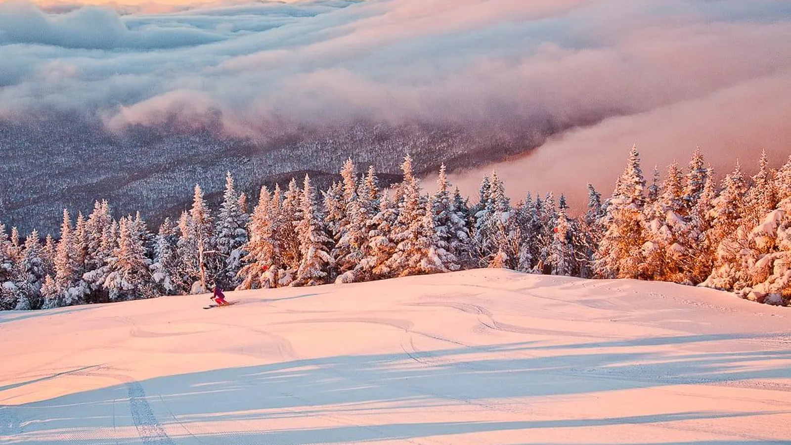 Skier carving fresh snow at sunrise above the clouds in Vermont