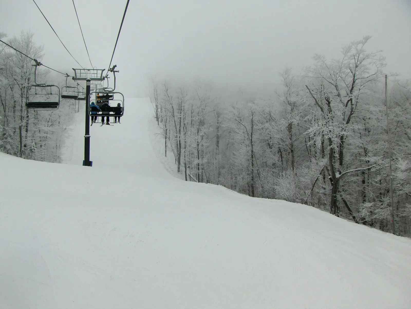 Chairlift rising through snowy trees in Vermont
